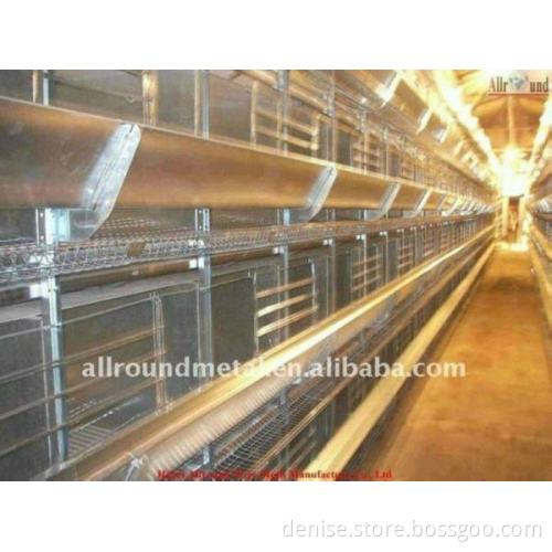 Fish Farm Chicken Farm Layer Cage